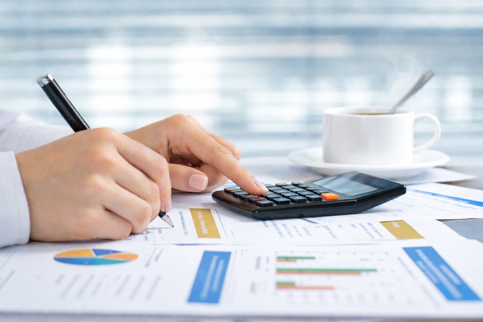 Contabilidad profesional para PyMES y Personas Físicas 